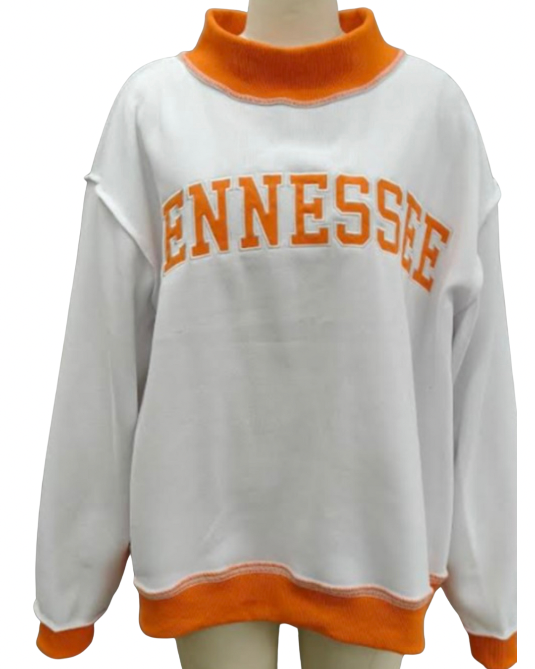 Big Orange Bound Embroidered Sweatshirt