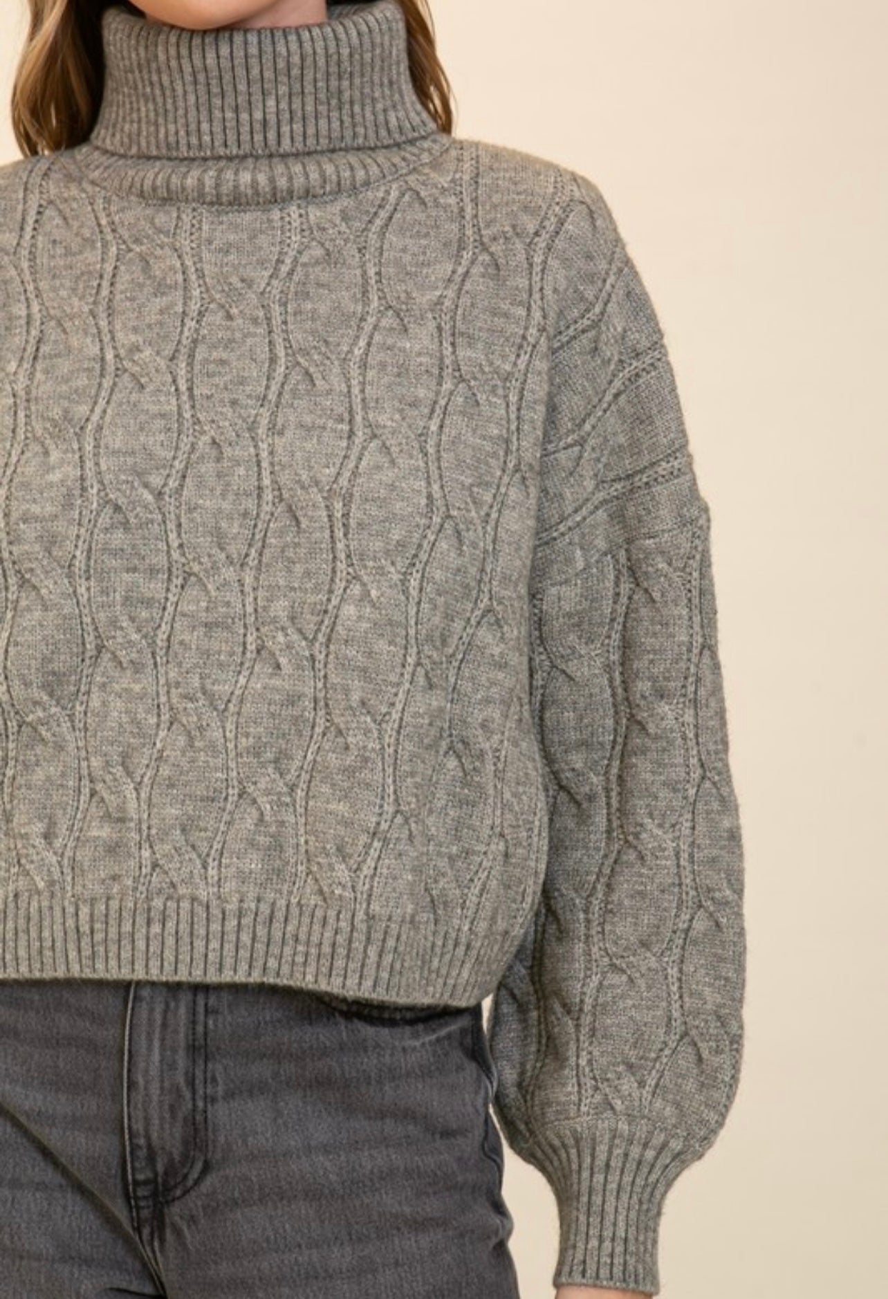 Standing Out Cable Knit Turtle Neck Sweater