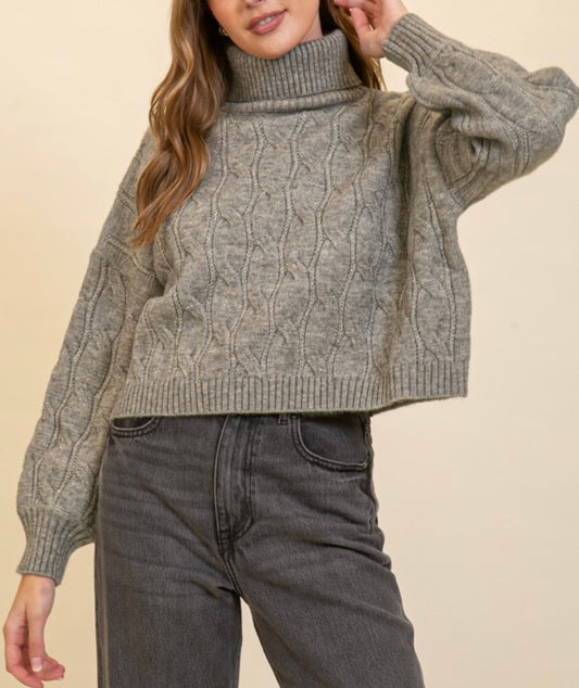 Standing Out Cable Knit Turtle Neck Sweater